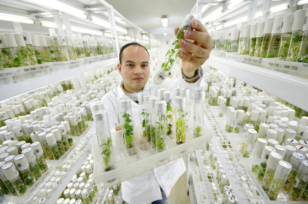 genebank2.jpg genebank2.jpg